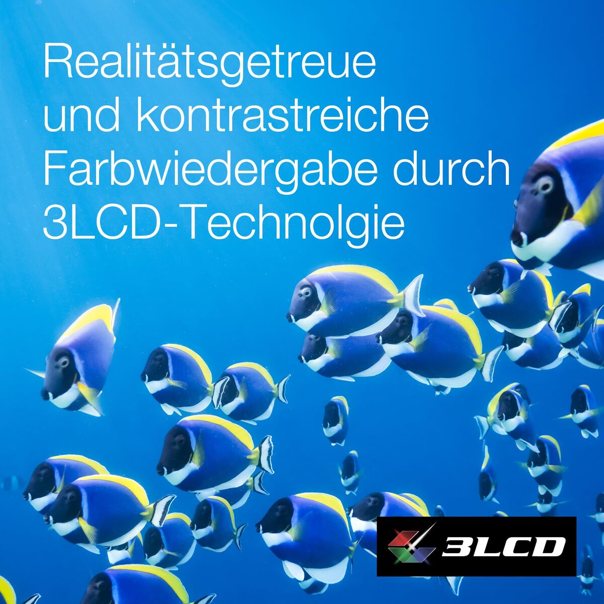 V4H6F993EF8B0295D26DE5BAD84626E8295R7512858P5